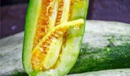 东海网红吃瓜,揭秘娱乐圈幕后风云